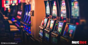 tribopg - Slot Online para Bet